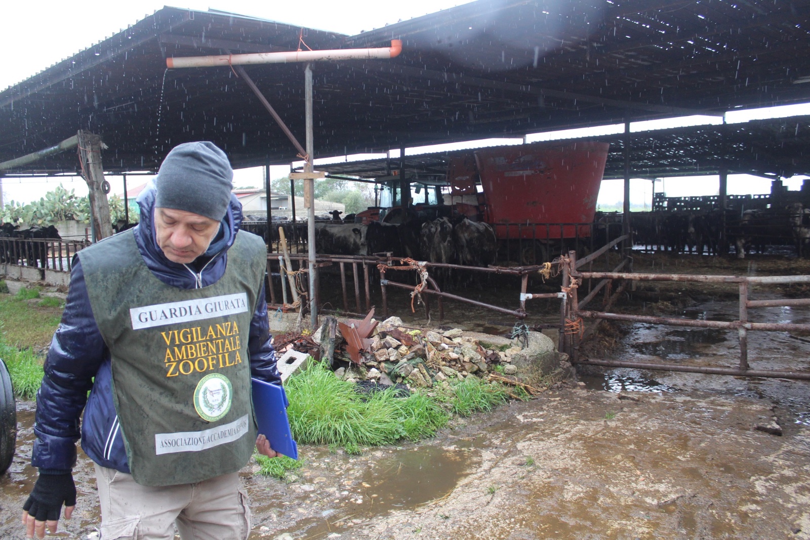 Capaccio, sequestro azienda zootecnica per smaltimento illecito di rifiuti e carenze igieniche