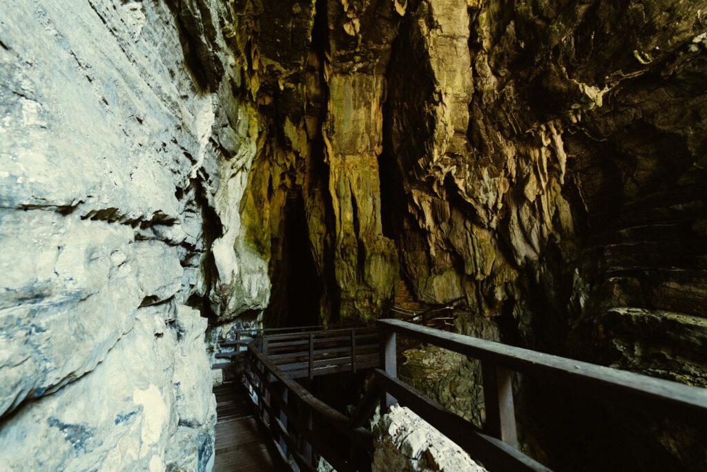 ​M​origerati: riapre l’Oasi WWF Grotte del Bussento, tra ponti nuovi e natura incontaminata