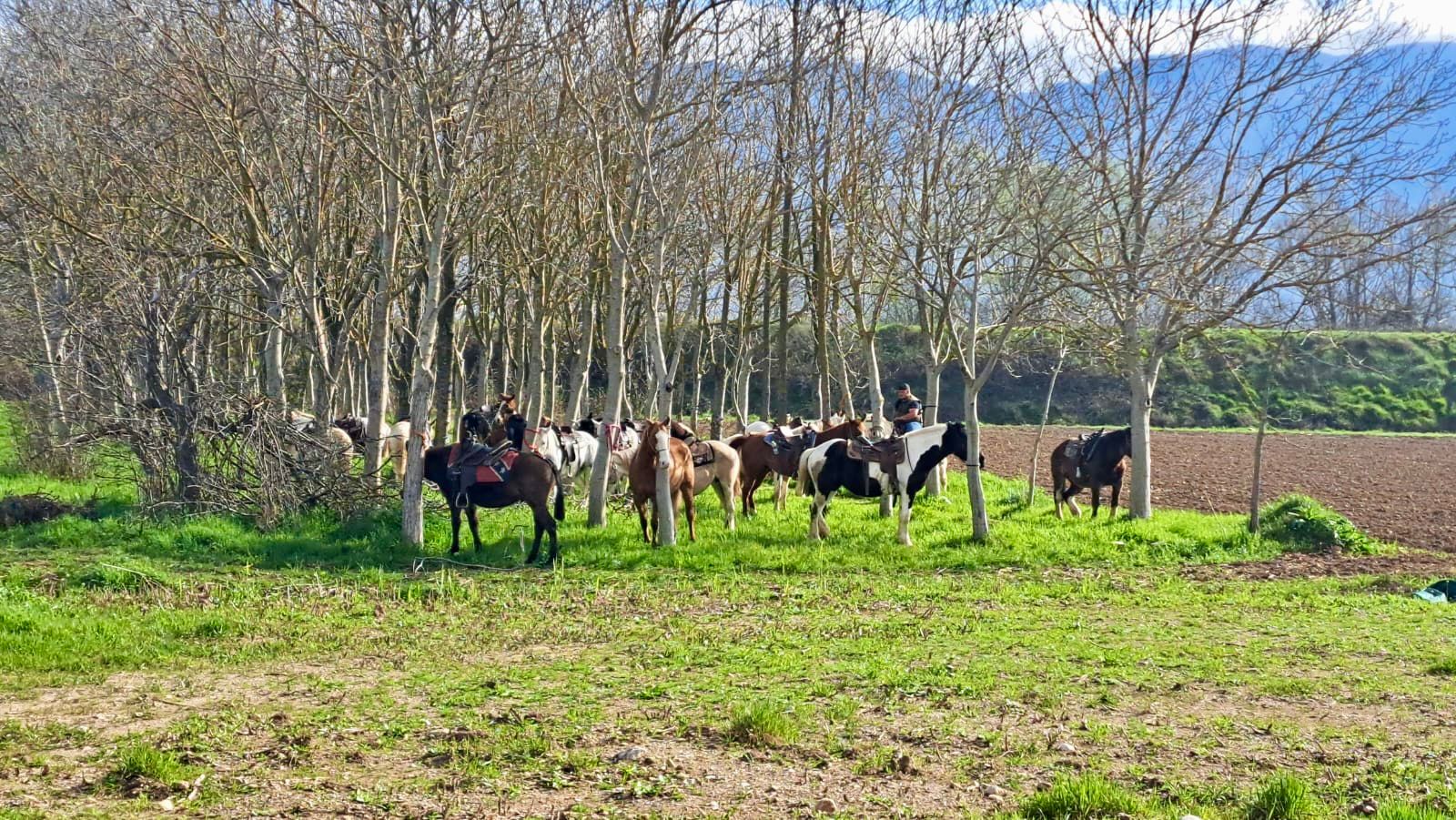 Turismo lento, Sassano riscopre i suoi sentieri: grande partecipazione al trekking a cavallo