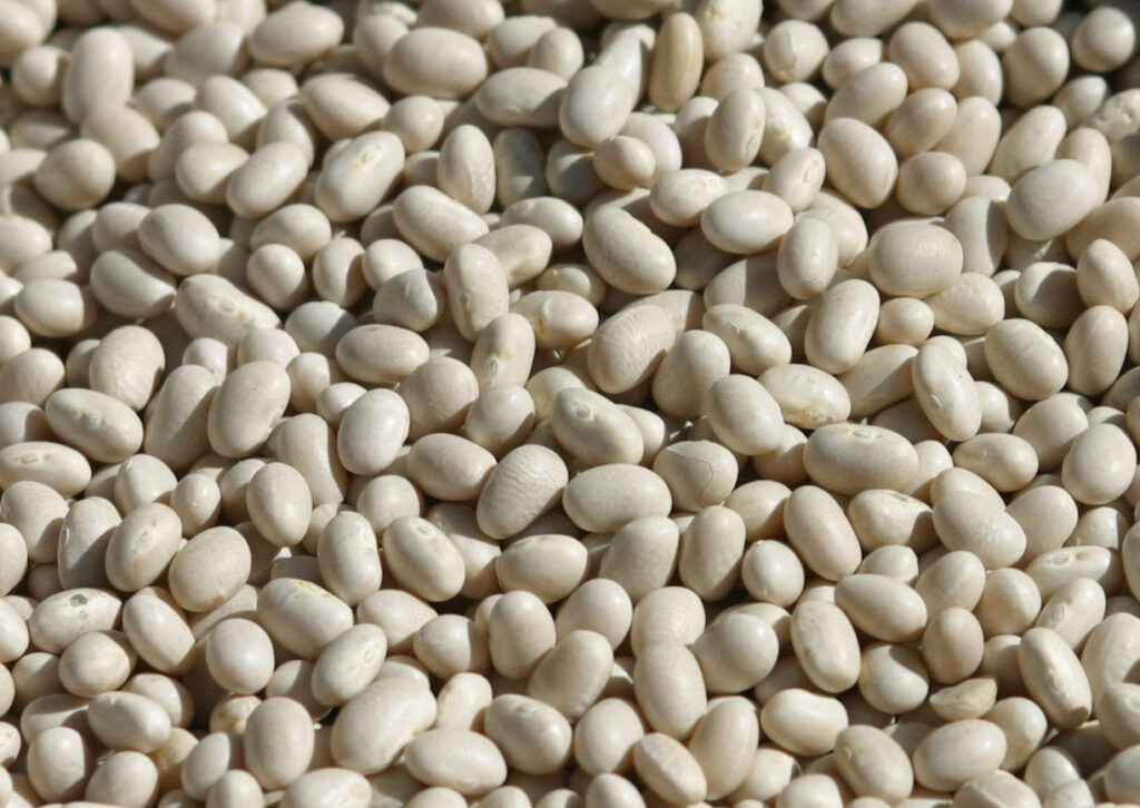 Lucania da gustare: un viaggio nell’enogastronomia tra peperoni cruschi, fagioli di Sarconi e sapori autentici