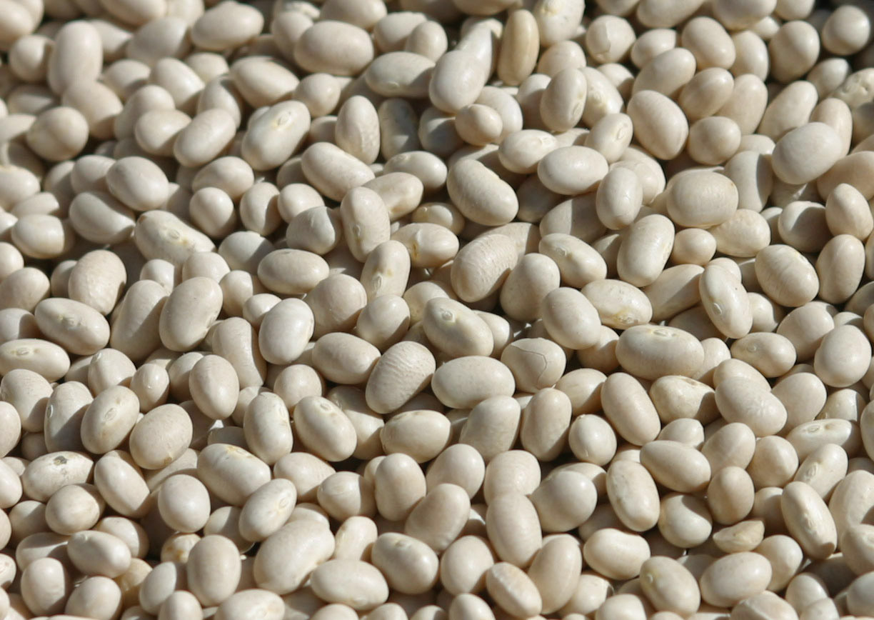 Lucania da gustare: un viaggio nell’enogastronomia tra peperoni cruschi, fagioli di Sarconi e sapori autentici