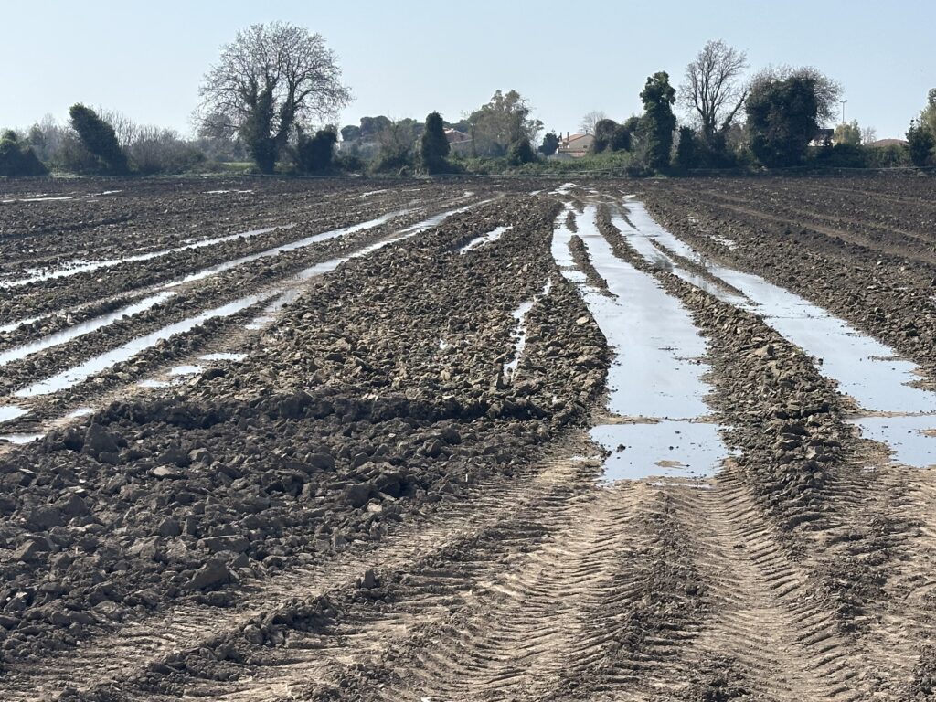 Reflui bufalini nella Piana del Sele, Paestum Energia Futura: «Fermare scarichi abusivi nei canali. Servono impianti moderni»