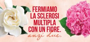 Caselle in Pittari si colora di solidarietà: torna la “Gardenia di AISM” per la lotta alla sclerosi multipla