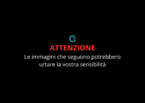 Sassano, animali avvelenati a Silla: tre cani e un gatto morti, un altro lotta tra la vita e la morte