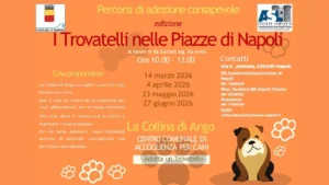 A Napoli “Cerco casa”, i trovatelli arrivano in piazza per promuovere l’adozione consapevole