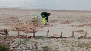 Pulizia della spiaggia di Ascea: avviato il primo intervento manuale