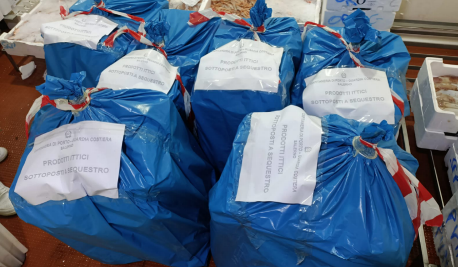Pesca illegale: sequestri per oltre una tonnellata nel Salernitano