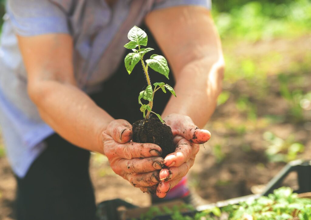 Agricoltura sostenibile, nuove tecnologie per coltivare consumando meno acqua
