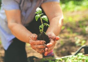 Agricoltura sostenibile, nuove tecnologie per coltivare consumando meno acqua