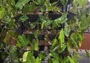 Tetti verdi e giardini verticali, come cambiano le città del futuro