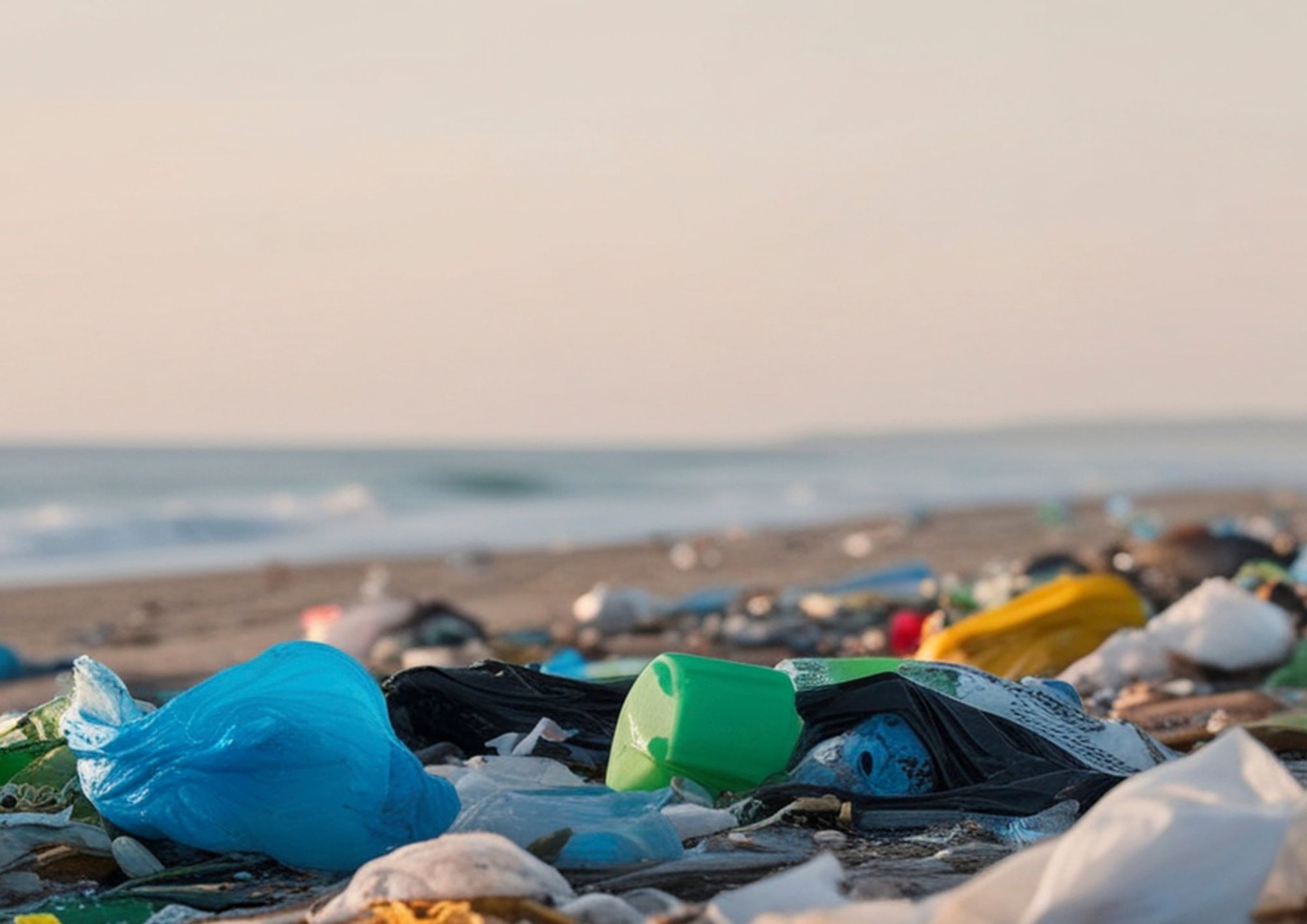 Abbandono dei rifiuti, le leggi italiane e le sanzioni per chi inquina