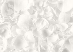 Moda: dal bianco “Cloud Dancer” ai toni accesi, i colori della primavera 2026