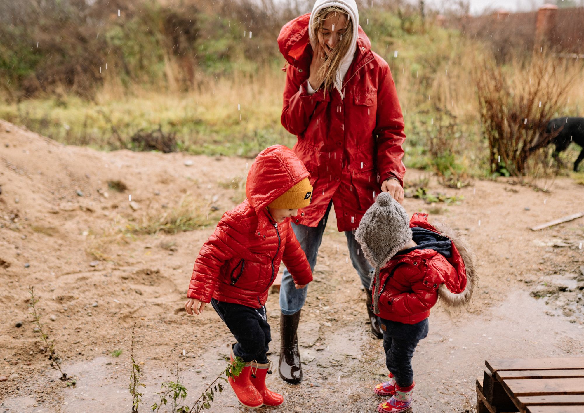 Non basta ai bambini cogliere le more nel bosco per crescere come la società moderna si aspetta