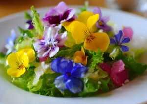 Fiori eduli in cucina: tradizione, uso gastronomico e sicurezza alimentare tra colori e sapori