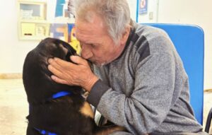 Diego, il cane che inseguì l’ambulanza riabbraccia il suo padrone