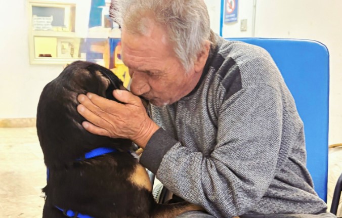 Diego, il cane che inseguì l’ambulanza riabbraccia il suo padrone