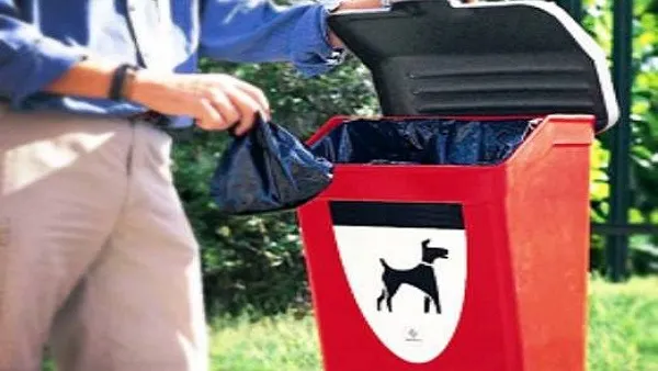 Cani e deiezioni in strada: cosa prevede la legge per i proprietari