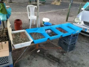 Aumento di epatite a in Campania: come prevenirla efficacemente