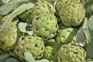 Il carciofo bianco del Tanagro, eccellenza agricola del Vallo di Diano