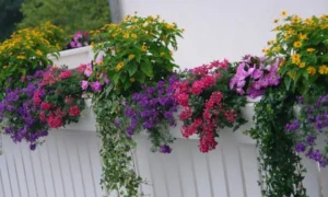 Primavera in arrivo: come preparare balconi, terrazze e giardini tra pulizia e fioriture