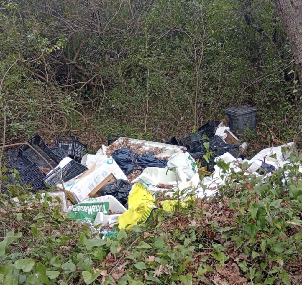 Rifiuti abbandonati e amianto nel Salernitano, segnalazione della Guardia Agroforestale