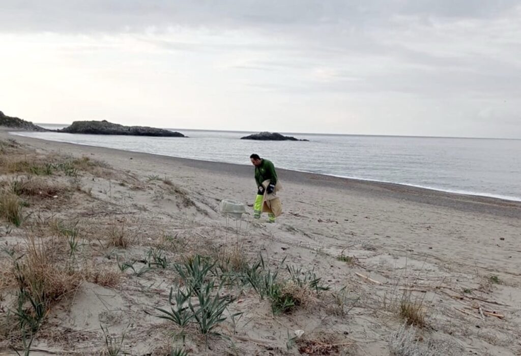 Ascea, al via la pulizia manuale della spiaggia in vista della Pasqua
