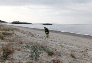 Ascea, al via la pulizia manuale della spiaggia in vista della Pasqua