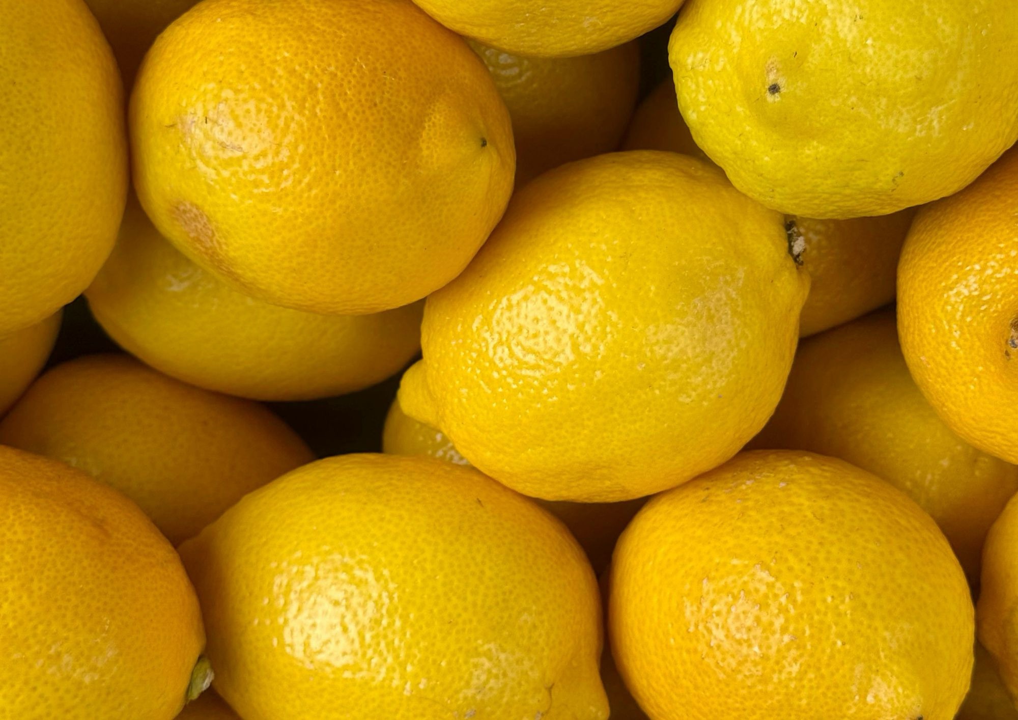 Limoni, tra cucina e rimedi naturali: usi, benefici e limiti di un agrume versatile