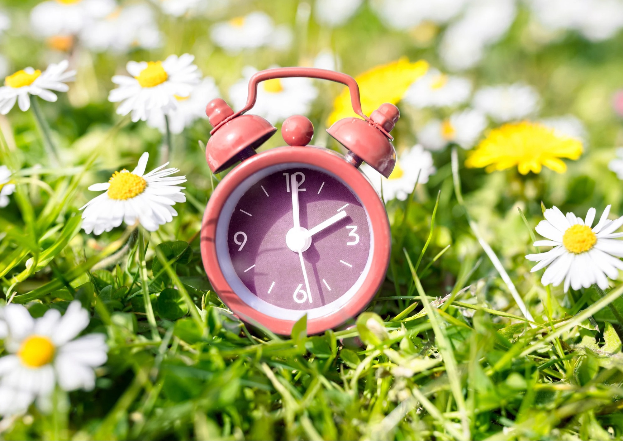 Torna l’ora legale: lancette avanti di un’ora nella notte