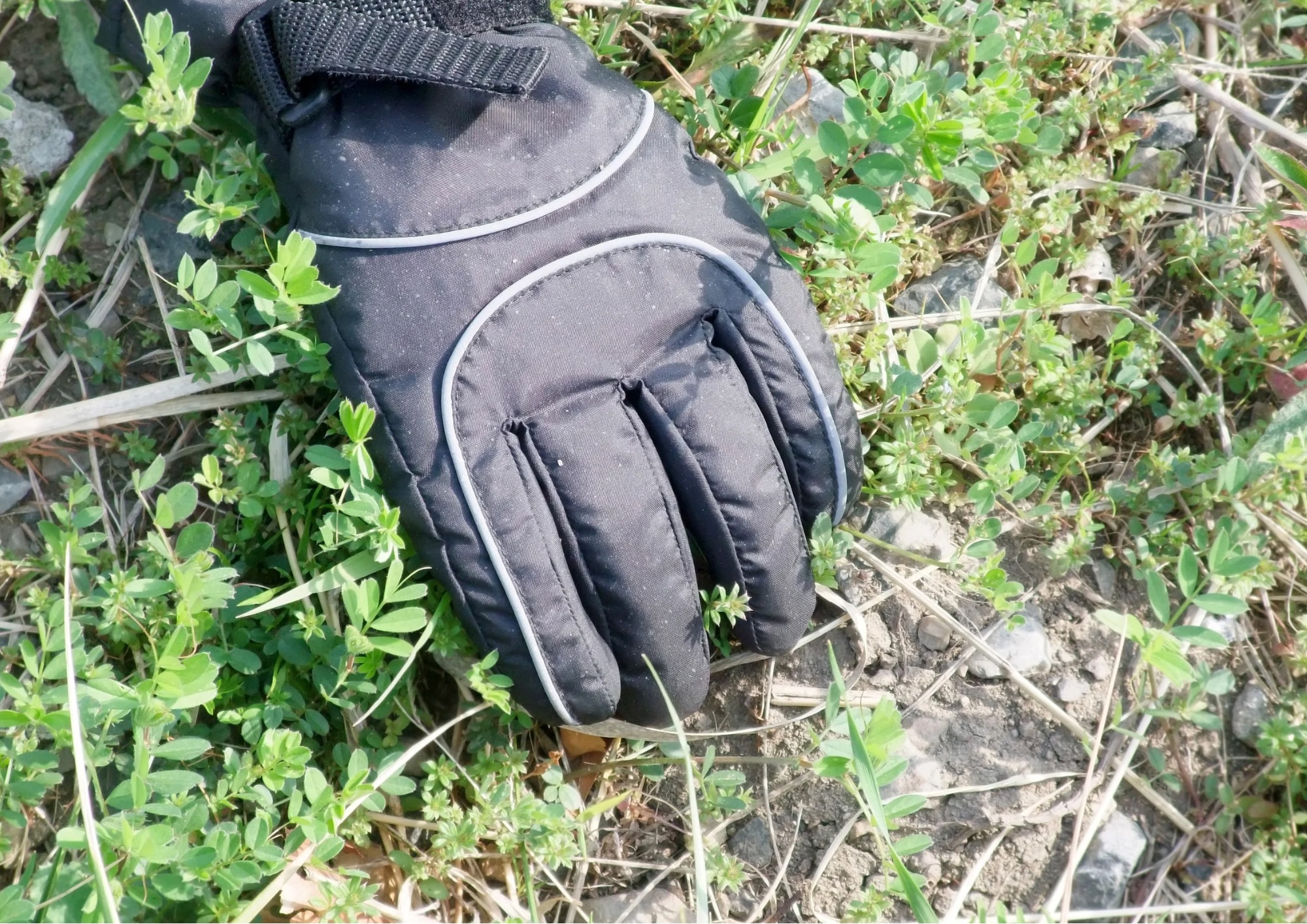 Primavera: al via la pulizia di orti e campagne, pratiche e consigli per la gestione delle erbacce