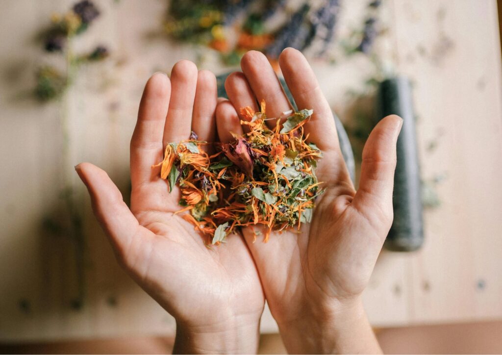 Erbe spontanee mediterranee, dalla campagna alla tavola: la riscoperta in cucina