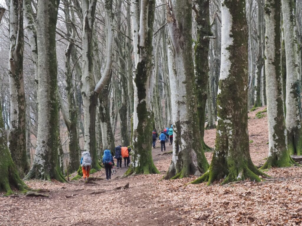 Strade Maestre in Cilento: studenti a fine marzo sul Cammino di San Nilo