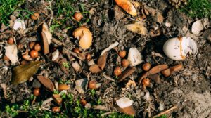 Giornata internazionale dei rifiuti zero, da Sala Consilina un invito a scelte quotidiane sostenibili