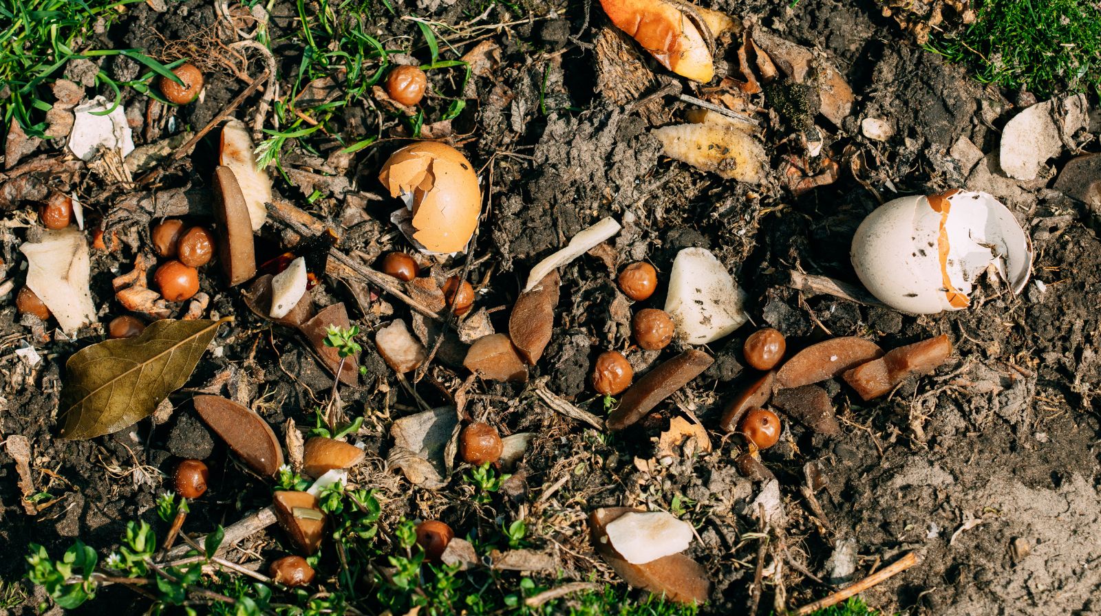 Giornata internazionale dei rifiuti zero, da Sala Consilina un invito a scelte quotidiane sostenibili