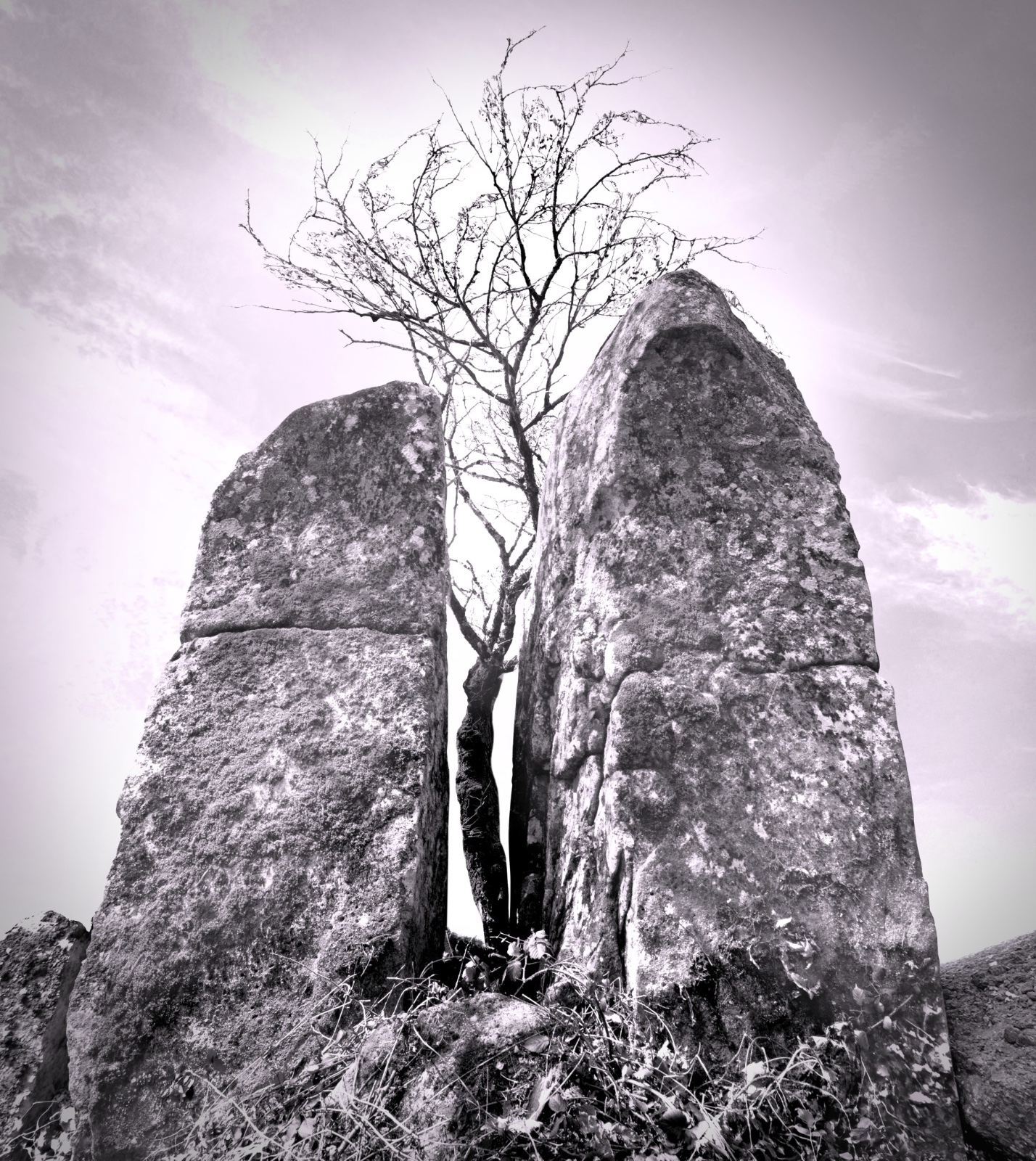 Ottavio Celestino apre la rassegna estiva di Giacarandacon la mostra d’arte “Forse è un canto di Sirene”