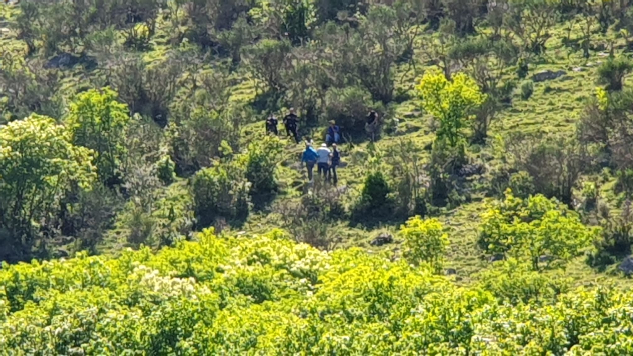 Malore mentre raccoglie asparagi: muore 57enne tra Teggiano e Sassano
