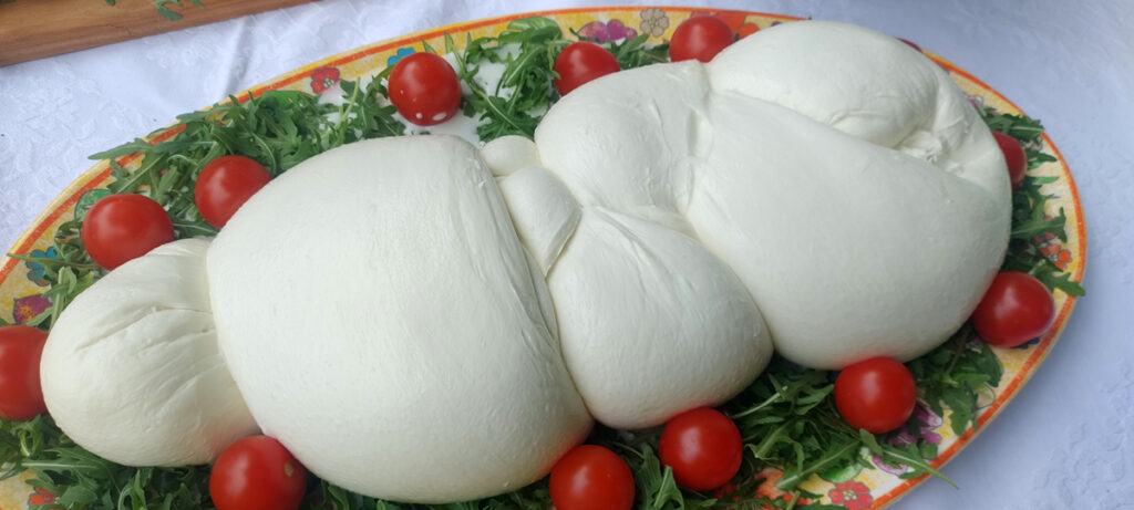 Coldiretti Campania: mozzarella di bufala, la legge sui reati agroalimentari dalla parte della qualità