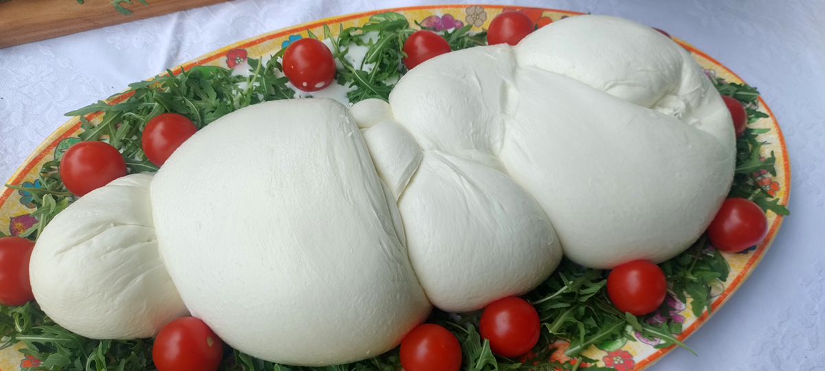 Coldiretti Campania: mozzarella di bufala, la legge sui reati agroalimentari dalla parte della qualità