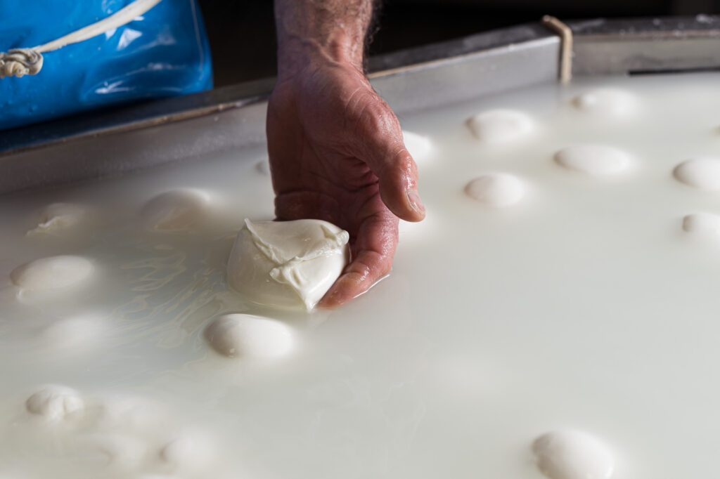 Mozzarella Dop e crisi in Iran, l’allarme del Consorzio: Impennata costi di produzione, con blocco scali a rischio l’export