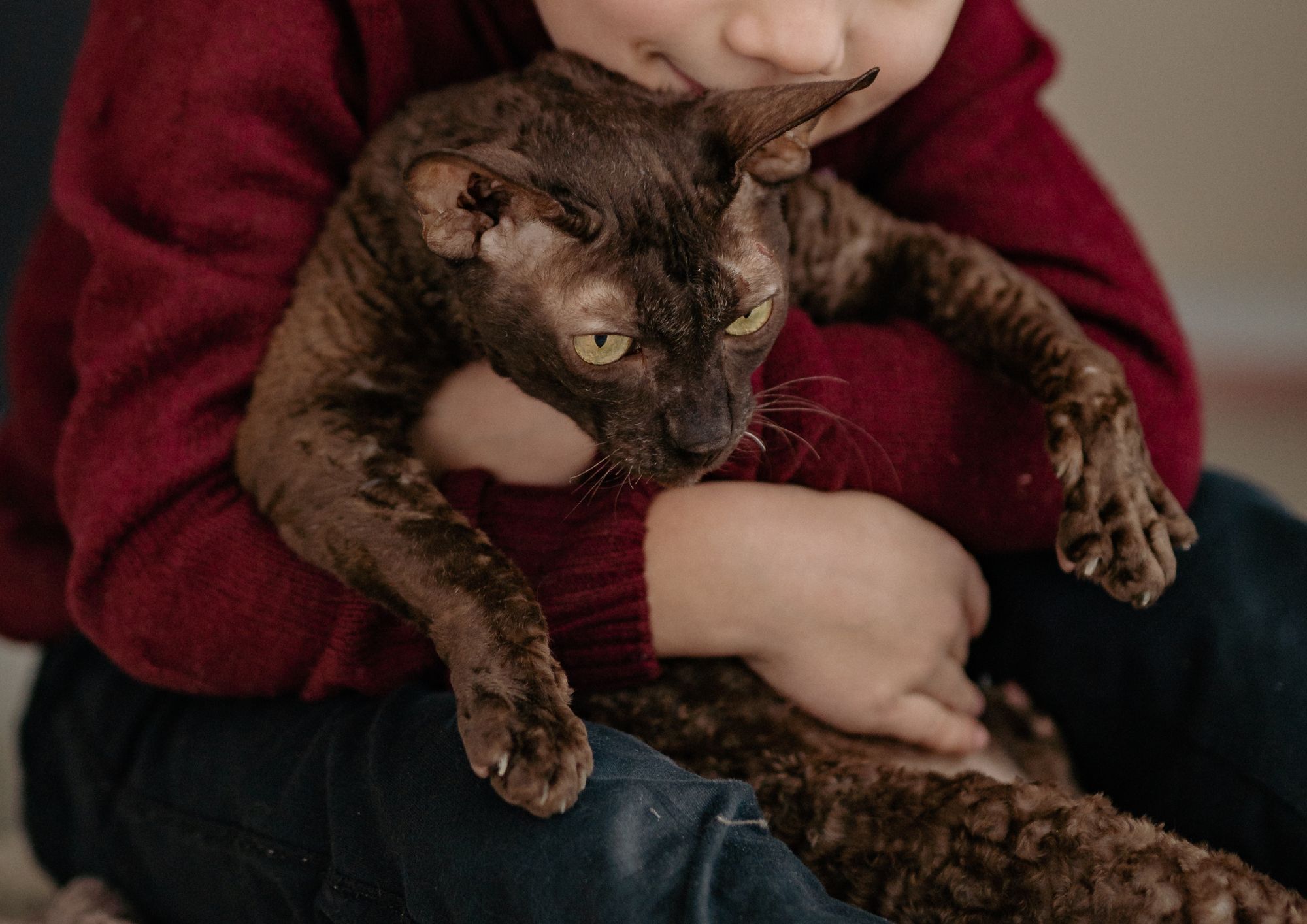 Animali domestici e bambini: regole per una convivenza sicura e serena