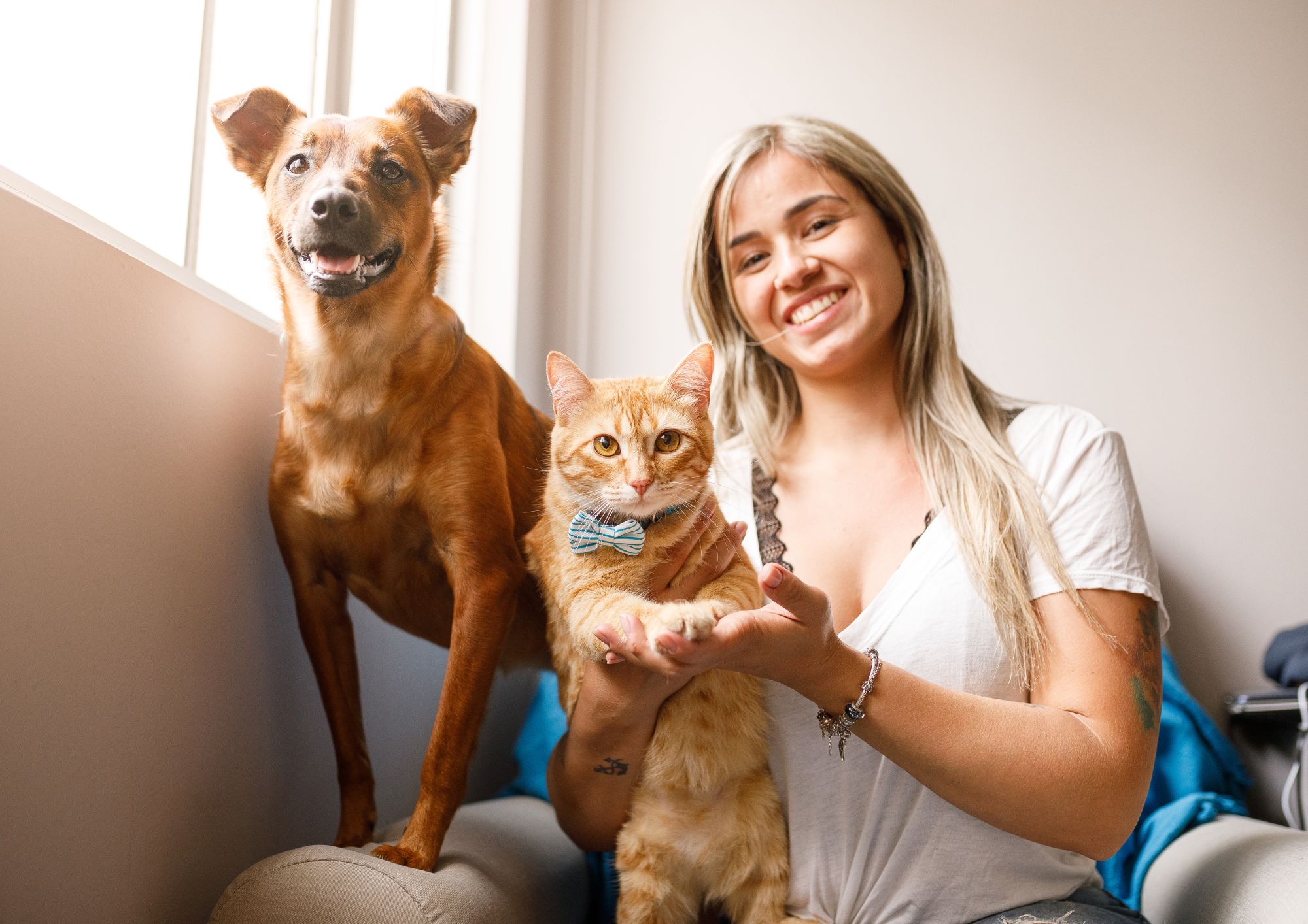 Cani e gatti contro stress e solitudine: il ruolo crescente nel benessere psicologico degli italiani