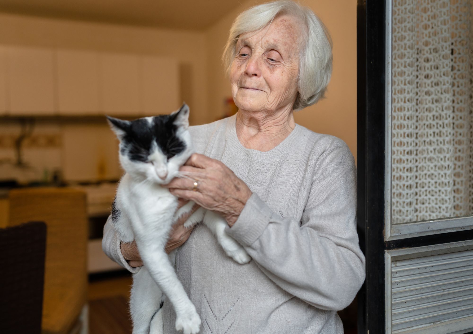 Gli animali e l’invecchiamento: il comportamento può prevedere la durata della vita