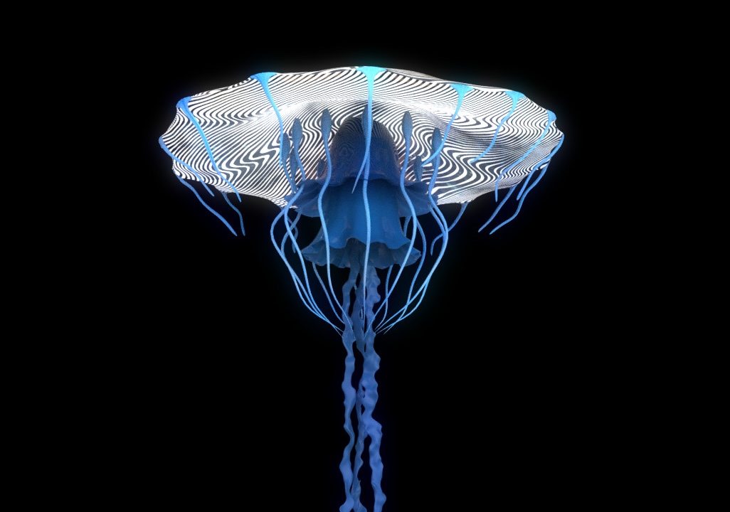 Biennale Arte 2026: una medusa olografica tra gli affreschi dell’ex Chiesa dei Santi Cosma e Damiano