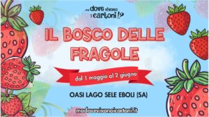 «Il Bosco delle fragole»: a Eboli arriva, per la prima volta in Italia, lo Strawberry fair