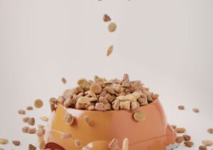 Alimentazione degli animali domestici, cresce l’attenzione alla qualità e al benessere