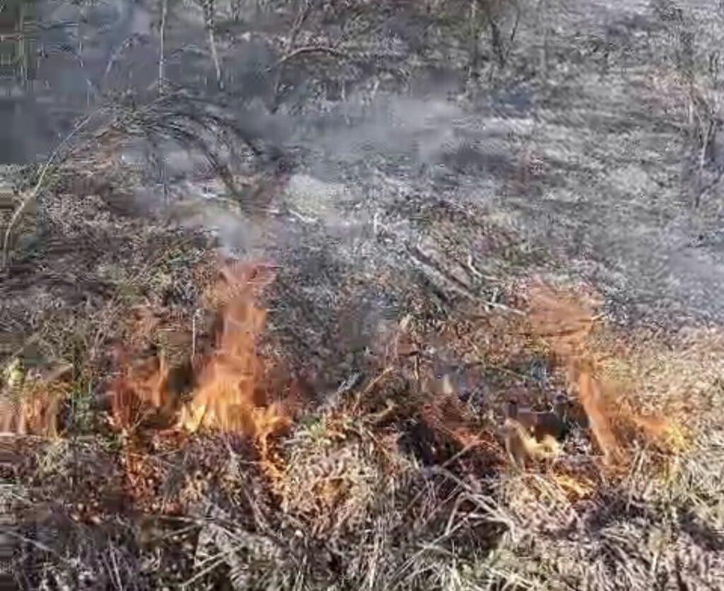 Primo incendio dell’anno nel Vallo di Diano tra Sala Consilina e Padula