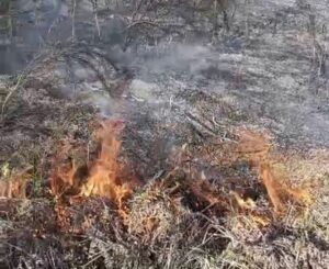Primo incendio dell’anno nel Vallo di Diano tra Sala Consilina e Padula