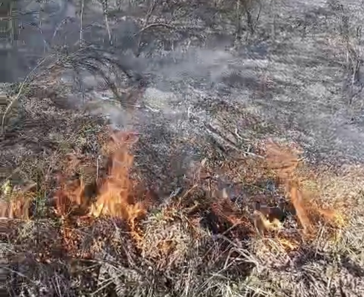 Primo incendio dell’anno nel Vallo di Diano tra Sala Consilina e Padula
