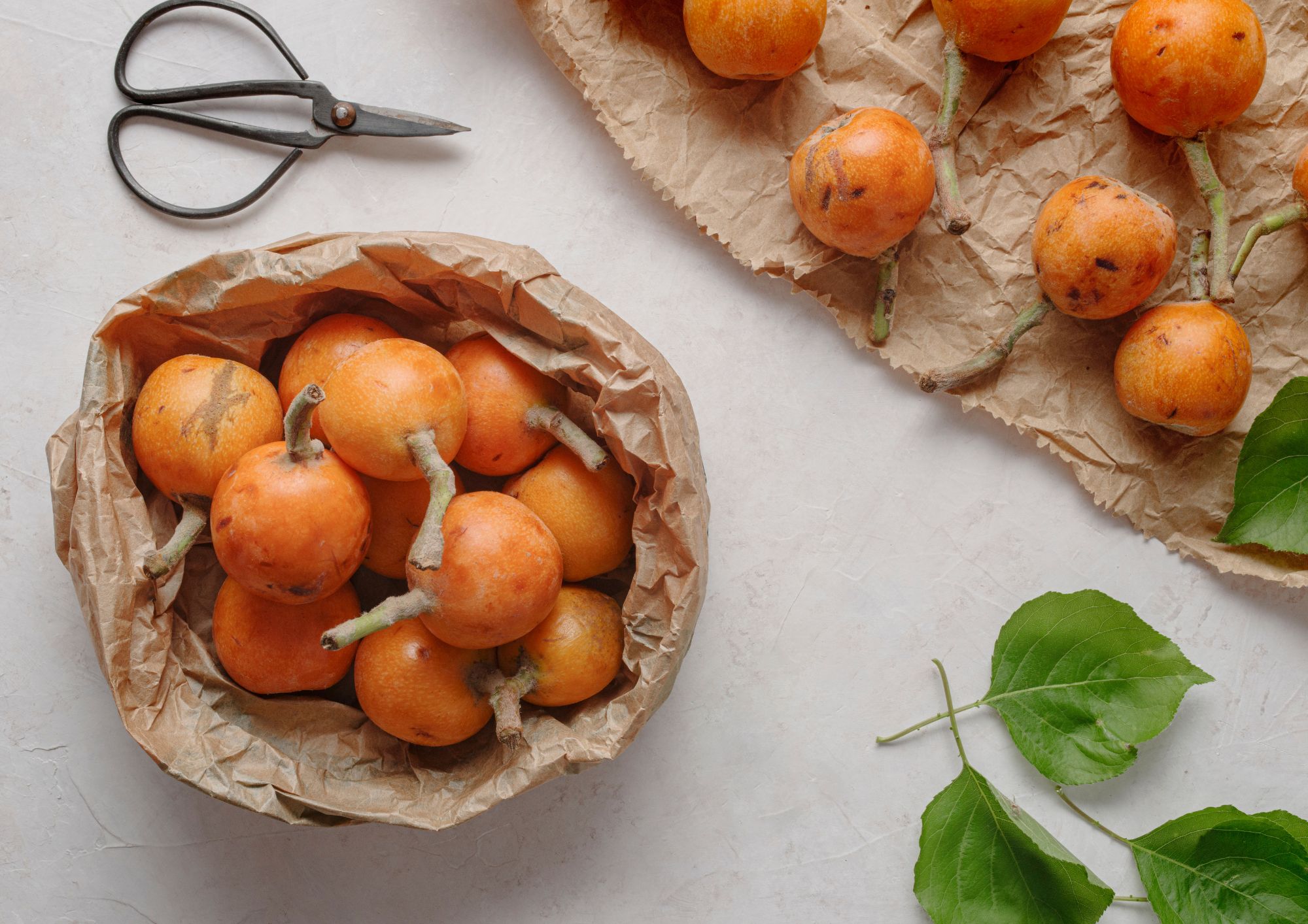 Frutti di primavera, il risveglio dei sapori: fragole, ciliegie e nespole protagoniste della stagione