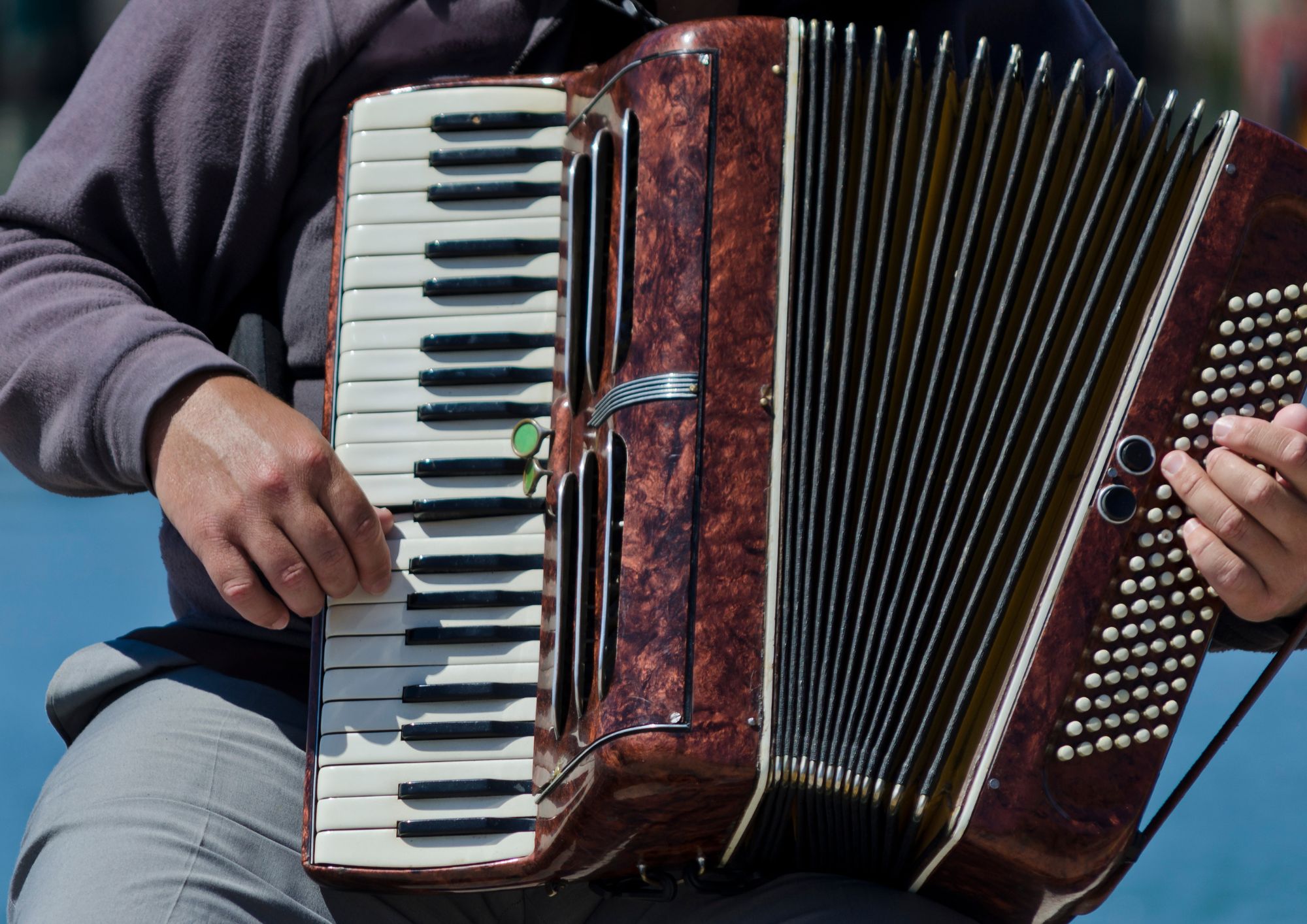 Sant’Arsenio capitale dell’organetto: tutto pronto per l’8ª Edizione del Festival Internazionale